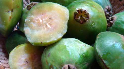 Reprodução - Fruta Cambuci