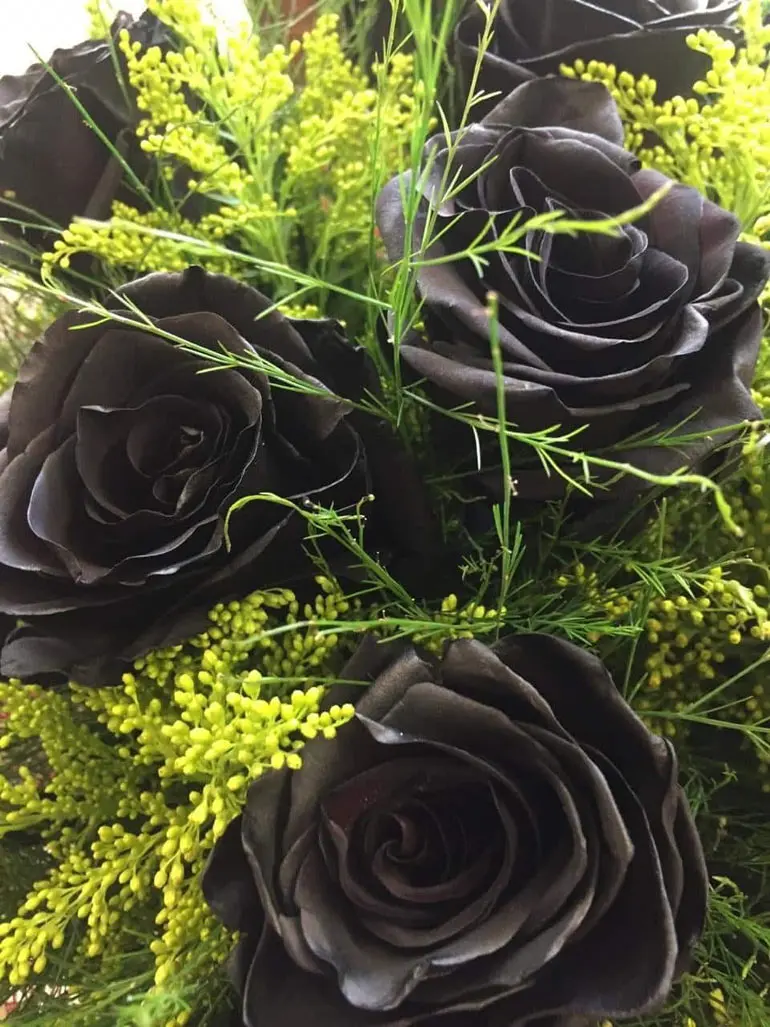 Floricultura do Paraná lança buquê de rosas pretas